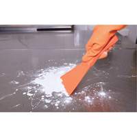 Racloir manuel grand format, Rose, 4" la x 10" lo D. Morneault & Fils