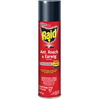 Raid&reg; Ant, Roach & Earwig Insect Killer, 350 g, Solvent Base D. Morneault & Fils