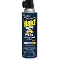 Mousse insecticide contre les gu&ecirc;pes et les frelons Raid Max, 500 g, Canette a&eacute;rosol, &agrave; base de solvant D. Morneault & Fils