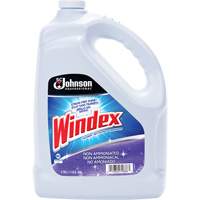 Nettoyant multi-surface non ammoniac&eacute; de Windex, 3,8 L, Cruche D. Morneault & Fils