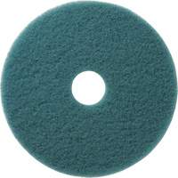 Aqua Floor Pads, 19", Burnishing, Aqua D. Morneault & Fils