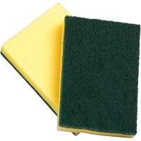Sponges with Scouring Pad, Scrubbing, 4" W x 6" L D. Morneault & Fils