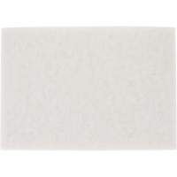 Tampon pour planchers TopLine Speed, 14" x 20", Lustrage/Nettoyage/Polissage, Blanc D. Morneault & Fils