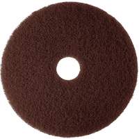 Tampon de m&eacute;lange naturel, 12", D&eacute;capant, Brun D. Morneault & Fils