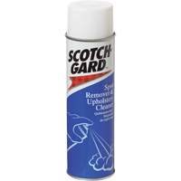 D&eacute;tachant pour tapis et nettoyant pour meubles rembourr&eacute;s, 17 oz, Canette a&eacute;rosol D. Morneault & Fils