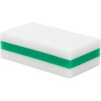 eXpunge&reg; Sponge Plus, Scrubbing, 3-3/8" W x 6-1/4" L D. Morneault & Fils