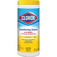 Disinfecting Wipes, 35 Count D. Morneault & Fils