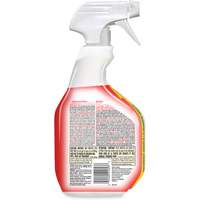 Disinfecting Bio Stain & Odour Remover, 946 ml, Trigger Bottle D. Morneault & Fils