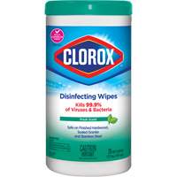 Disinfecting Wipes, 75 Count D. Morneault & Fils