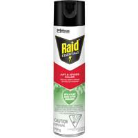 Raid&reg; Essentials Ant & Spider Killer, 350 g, Aerosol Can D. Morneault & Fils
