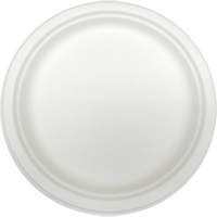 Molded Fiber Disposable Plates D. Morneault & Fils