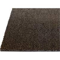 Tapis dint&eacute;rieur Palliser, Essuie-pieds/grattoir, 3-1/2' x 6' x 5/16", Anglis D. Morneault & Fils