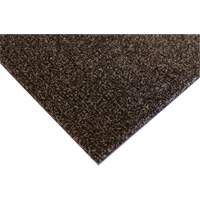 Tapis dint&eacute;rieur Palliser, Essuie-pieds/grattoir, 3-1/2' x 6' x 5/16", Anglis D. Morneault & Fils