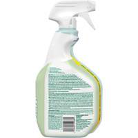 CloroxPro Clorox EcoClean Disinfecting Cleaner, 946 ml, Trigger Bottle D. Morneault & Fils