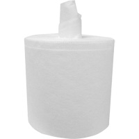 PRO Tuff-Job&reg; Refill Wipers Rolls for W012 Bucket Cleaning System, All-Purpose, 12-1/2" L x 12" W D. Morneault & Fils