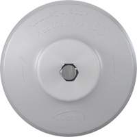 HyDrive Round Drill Brush, Extra Stiff Bristles, 3-1/10" Long, White D. Morneault & Fils