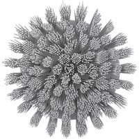 HyDrive Round Drill Brush, Extra Stiff Bristles, 3-1/10" Long, White D. Morneault & Fils