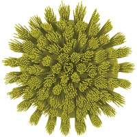 HyDrive Round Drill Brush, Extra Stiff Bristles, 3-1/10" Long, Yellow D. Morneault & Fils