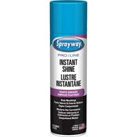 Brillant instantan&eacute; Pro Line pour surfaces en plastique, 11 oz, Canette a&eacute;rosol D. Morneault & Fils