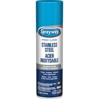 Nettoyant & polis pour acier inoxydable Pro Line, 15 oz, Canette a&eacute;rosol D. Morneault & Fils