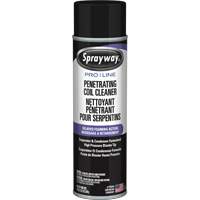 Nettoyant p&eacute;n&eacute;trant pour bobines Pro Line &agrave; action moussante diff&eacute;r&eacute;e, 19 oz., Canette a&eacute;rosol D. Morneault & Fils