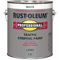 Peinture pour traçage de lignes de circulation, Blanc, 3,78 L, Cruche D. Morneault & Fils