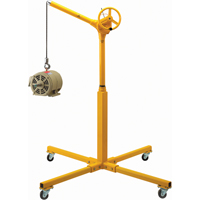 Tall Industrial Lifting Device with Mobile Base, 500 lbs. (0.25 tons) Capacity D. Morneault & Fils