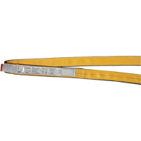&eacute;lingues de levage en polyester, Pli Simple, Sans fin, Type 5, 1" la x 3' lo, Capacit&eacute; verticale 3200 lb D. Morneault & Fils