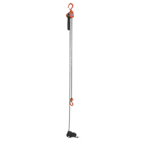 Mini Lever Hoist, 15' Lift, 500 lbs. (0.25 tons) Capacity, Steel Chain D. Morneault & Fils