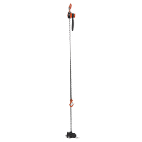 Mini Lever Hoist, 15' Lift, 500 lbs. (0.25 tons) Capacity, Steel Chain D. Morneault & Fils