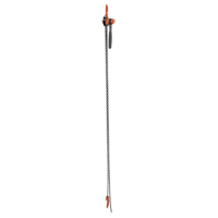 Mini Lever Hoist, 10' Lift, 1000 lbs. (0.5 tons) Capacity, Steel Chain D. Morneault & Fils