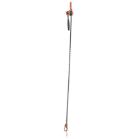 Mini Lever Hoist, 10' Lift, 1000 lbs. (0.5 tons) Capacity, Steel Chain D. Morneault & Fils