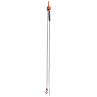 Mini Lever Hoist, 10' Lift, 1000 lbs. (0.5 tons) Capacity, Steel Chain D. Morneault & Fils