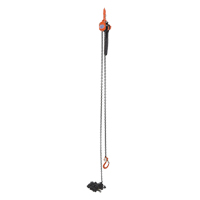 Mini Lever Hoist, 15' Lift, 1000 lbs. (0.5 tons) Capacity, Steel Chain D. Morneault & Fils