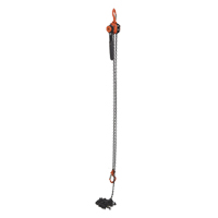 Mini Lever Hoist, 15' Lift, 1000 lbs. (0.5 tons) Capacity, Steel Chain D. Morneault & Fils