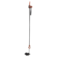 Mini Lever Hoist, 20' Lift, 1000 lbs. (0.5 tons) Capacity, Steel Chain D. Morneault & Fils