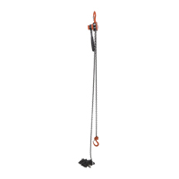 Mini Lever Hoist, 20' Lift, 1000 lbs. (0.5 tons) Capacity, Steel Chain D. Morneault & Fils
