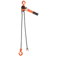 Lever Chain Hoist, 10' Lift, 1000 lbs. (0.5 tons) Capacity, Alloy Steel Chain D. Morneault & Fils