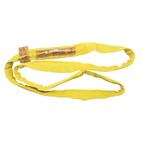 Polyester Round Sling, Yellow, 2-1/2" W x 20' L, 9000 lbs. Vertical Load D. Morneault & Fils
