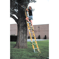 Industrial Heavy-Duty Extension Ladders (6200 Series), 375 lbs. Cap., 13' H, Grade 1AA D. Morneault & Fils