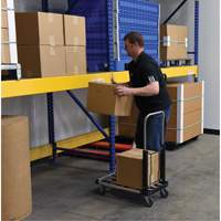 Fold-Up Platform Truck, Stainless Steel, 300 lbs., 28" L x 16" W, 33-1/2" High D. Morneault & Fils