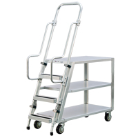 Aluminum Stock Picking Ladder Cart, Aluminum, 22" W x 51-1/2" D, 3 Shelves, 800 lbs. Capacity D. Morneault & Fils
