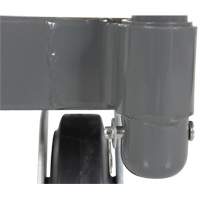 Platform Truck, 48" L x 24" W, 2000 lbs. Capacity, Rubber Casters D. Morneault & Fils