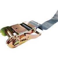 Tendeur d'arrimage &agrave; cliquet, Syst&egrave;me E-Track, 2" , 16' , Charge d'utilisation max. 1333 lb (605 kg) D. Morneault & Fils