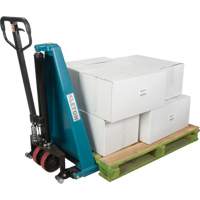 Manual Scissor Skid Lift, 45-1/4" L x 20-1/4" W, Steel, 3300 lbs. Capacity D. Morneault & Fils