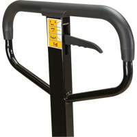 Transpalette manuel, Acier, 48" lo x 27" la, Capacit&eacute; 5500 lb D. Morneault & Fils