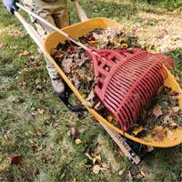 Leaf Rake, 24" Blade, Wood Handle, Plastic Blade D. Morneault & Fils