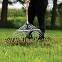 Lawn Rake, 24 Tines, Hardwood Handle, Steel Blade D. Morneault & Fils