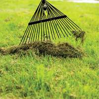 Lawn Rake, 24 Tines, Hardwood Handle, Steel Blade D. Morneault & Fils