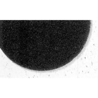 7300 Pro-Strip Pads, 17", Stripping, Black D. Morneault & Fils